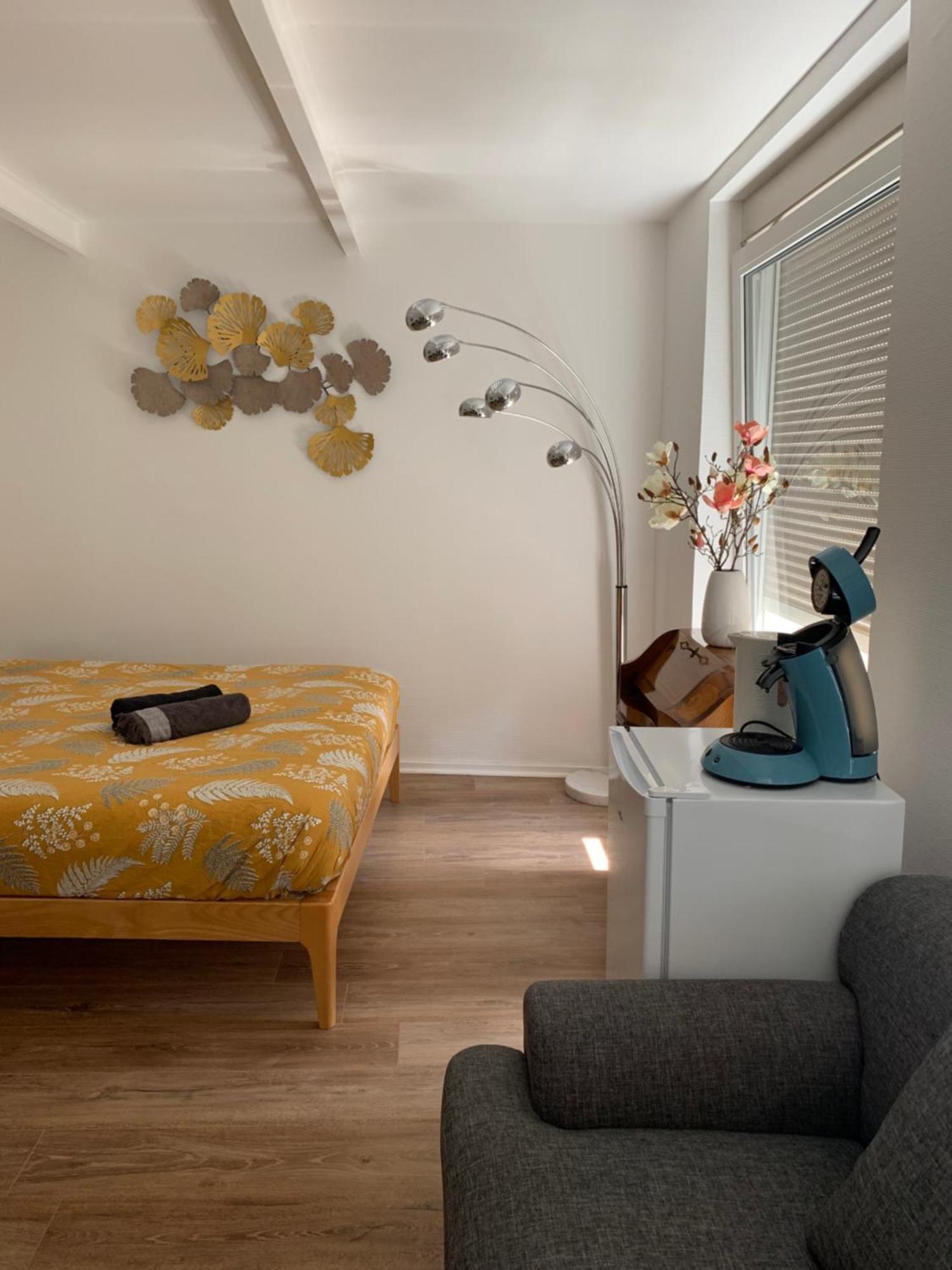 Deluxe Studio Tout Equipe - Hyper Centre Historique Mulhouse Dış mekan fotoğraf